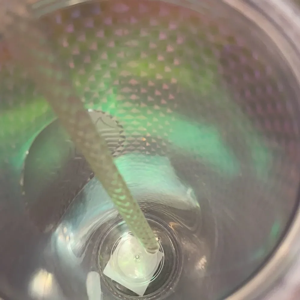 STARBUCKS 2018 Iridescent Tumbler